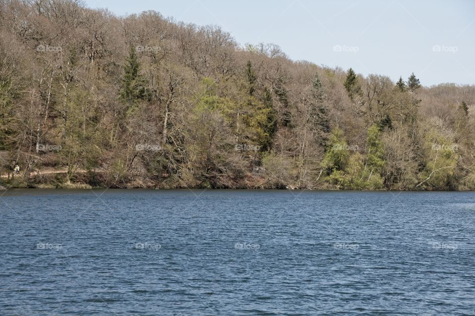 the river in the forest