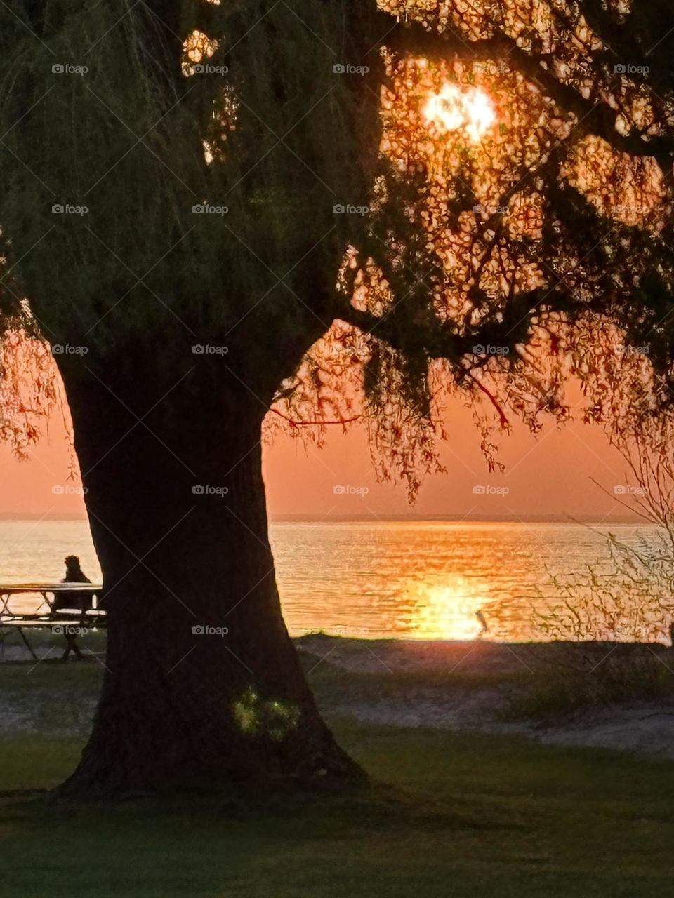Beautiful orange beach sunset 