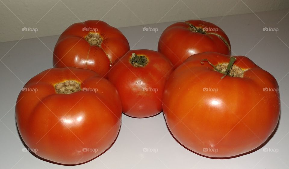 Freshly Picked Tomatoes