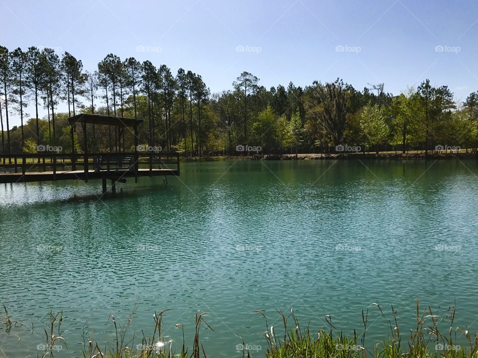 Picture Perfect Ponds