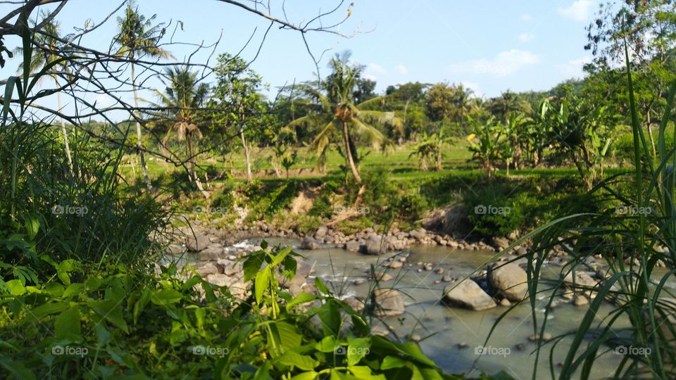View of the surrounding river