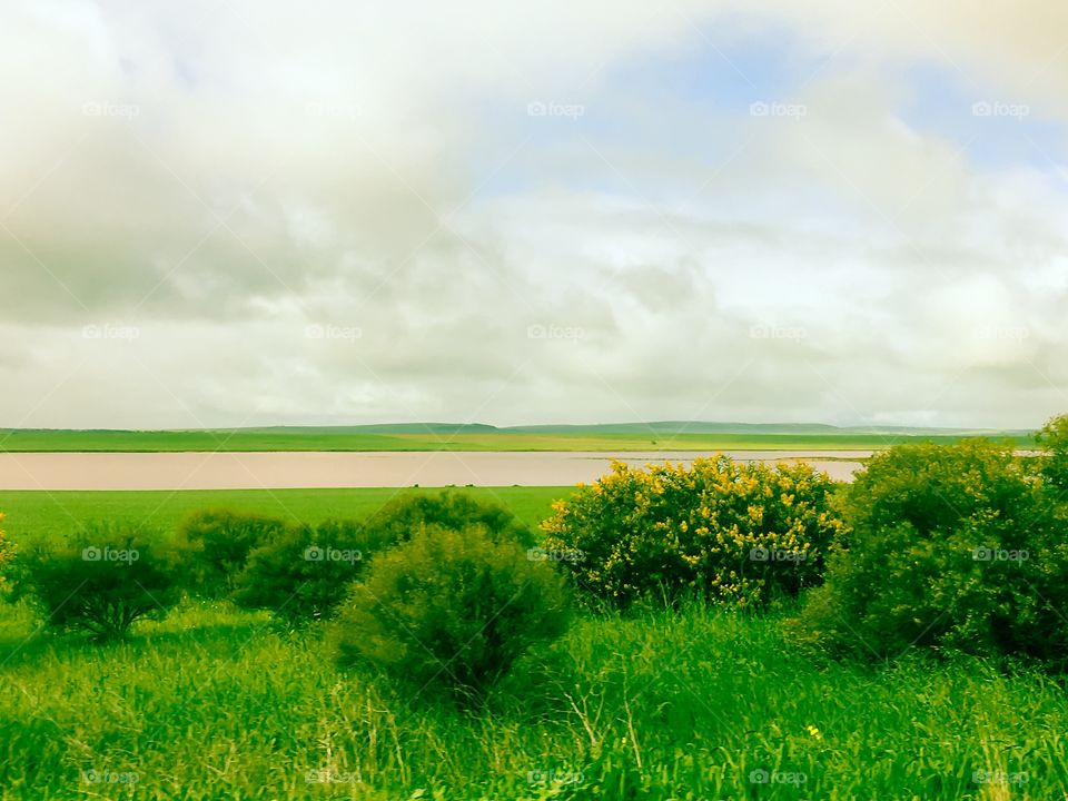 Pastoral scene South Australian countryside outback, greens and yellows on a cloudy day