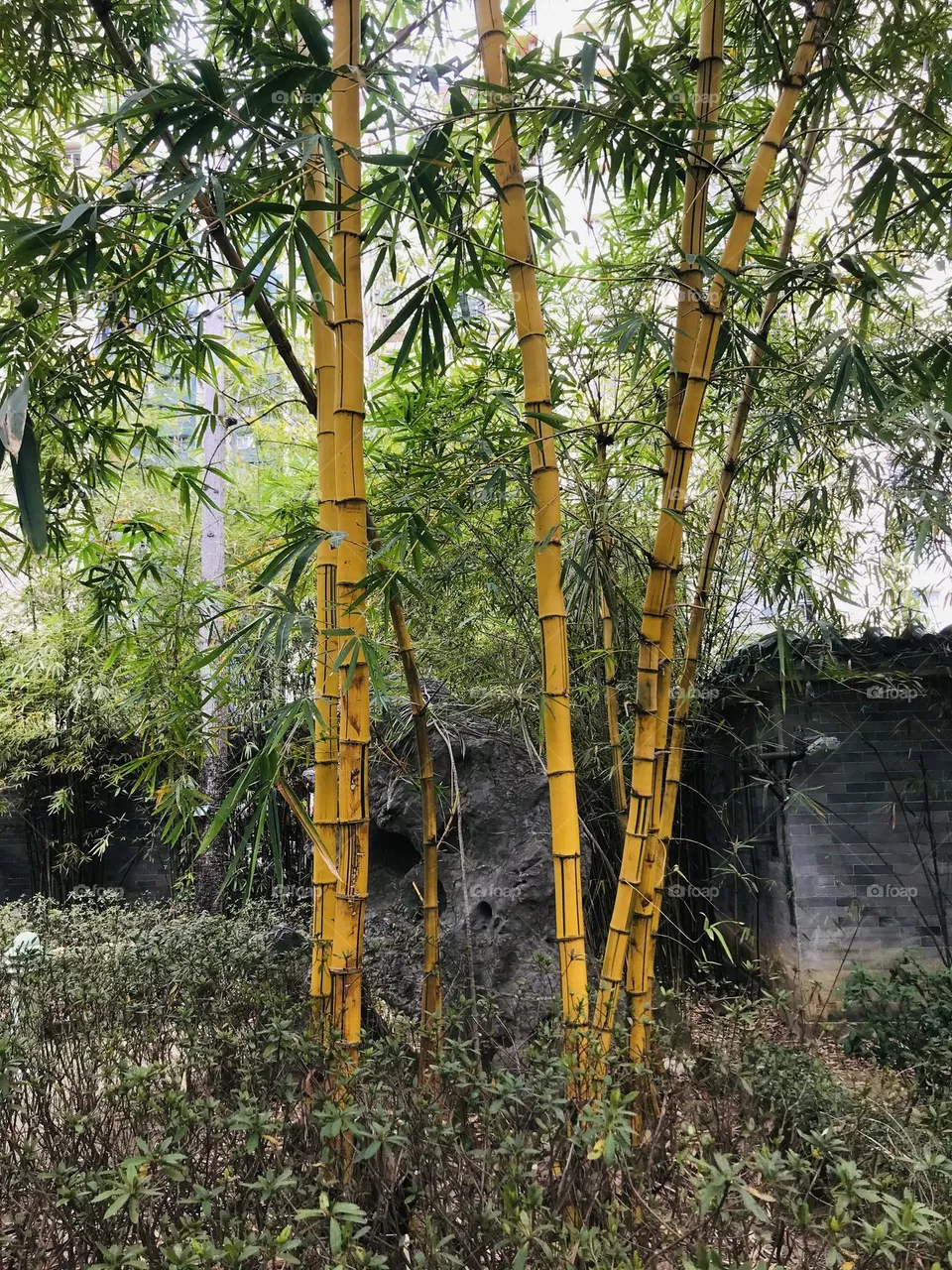 A shoot by iPhone 
