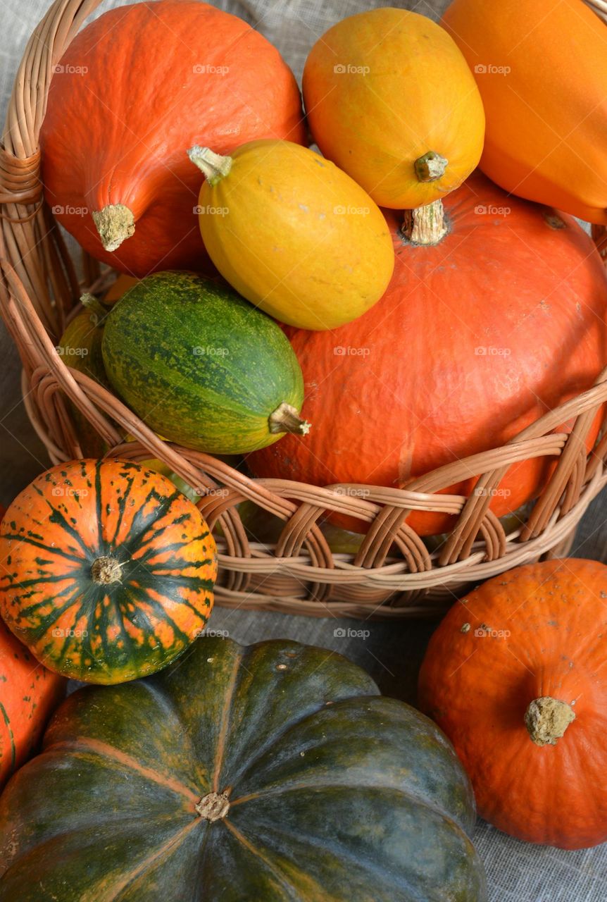 pumpkins Halloween holidays