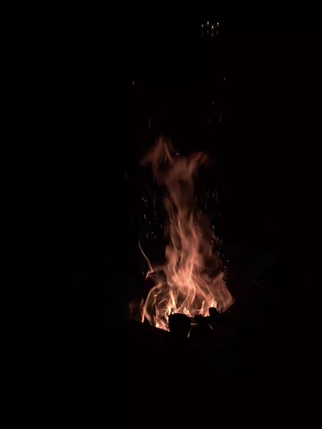 Orange Flames. Fire. Hot. Dangerous. Burn.