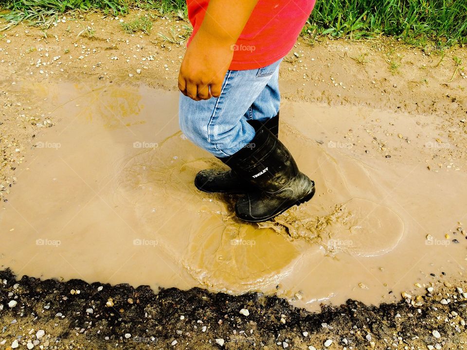 Nature Walk . Puddles, bugs, cows & the sun is near setting.