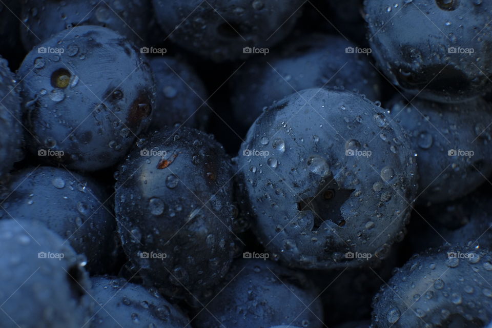 Fresh juicy blueberries 