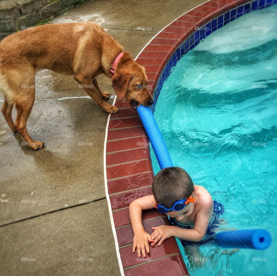 Boy swimming in water with dog