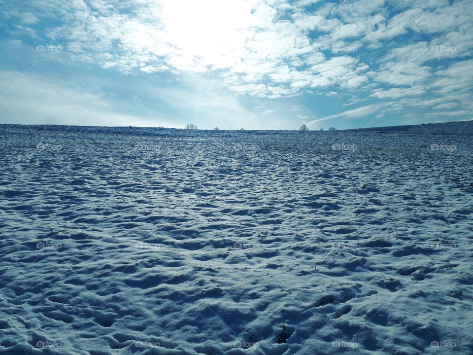 White landscape