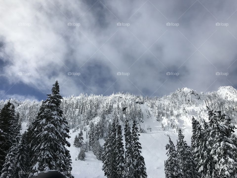 Ski resort, Steven pass, snow scene, snow covered trees, amazing view , Seattle Washington 