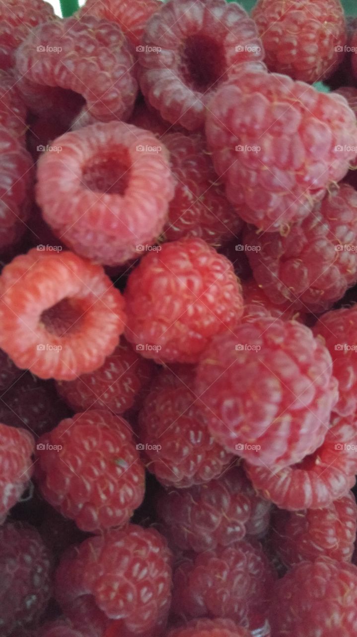 Berry Close-up