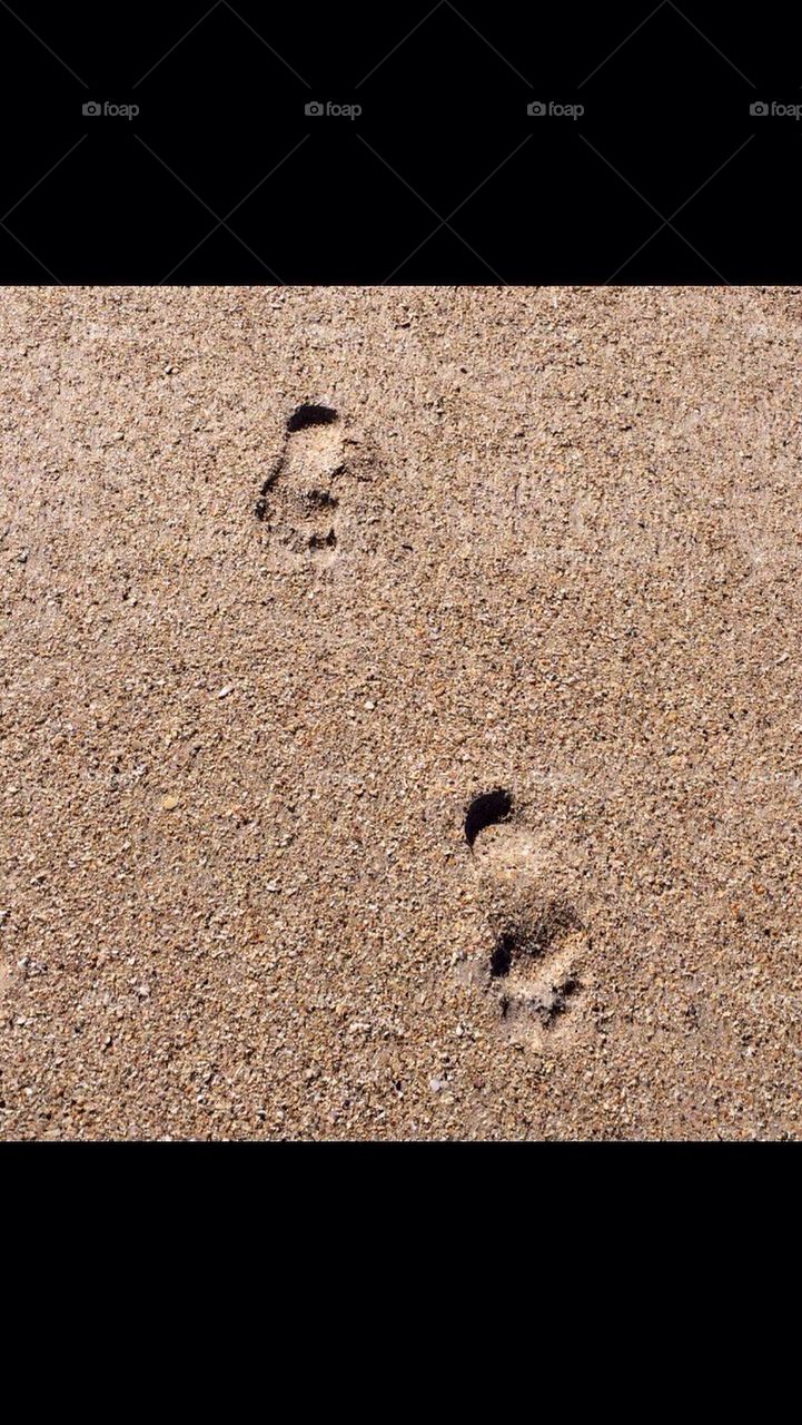 My Foot prints in the Atlantic Sand