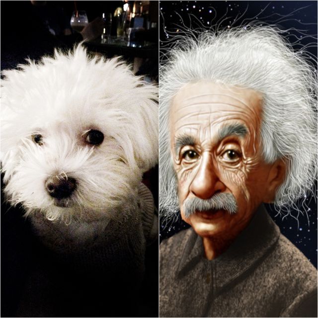 Find differences