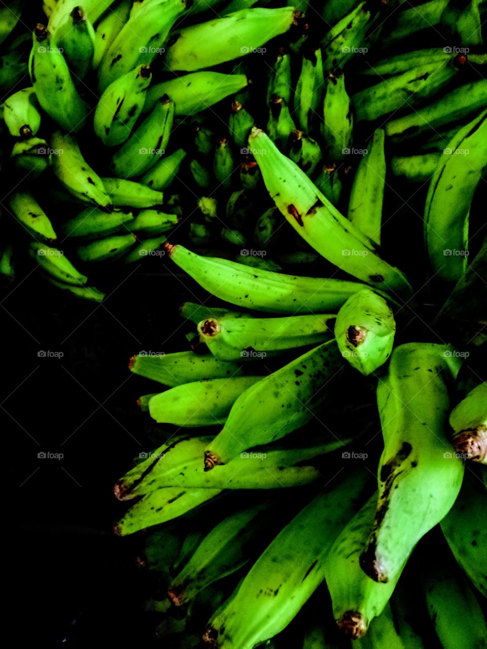 Green plantain bunch