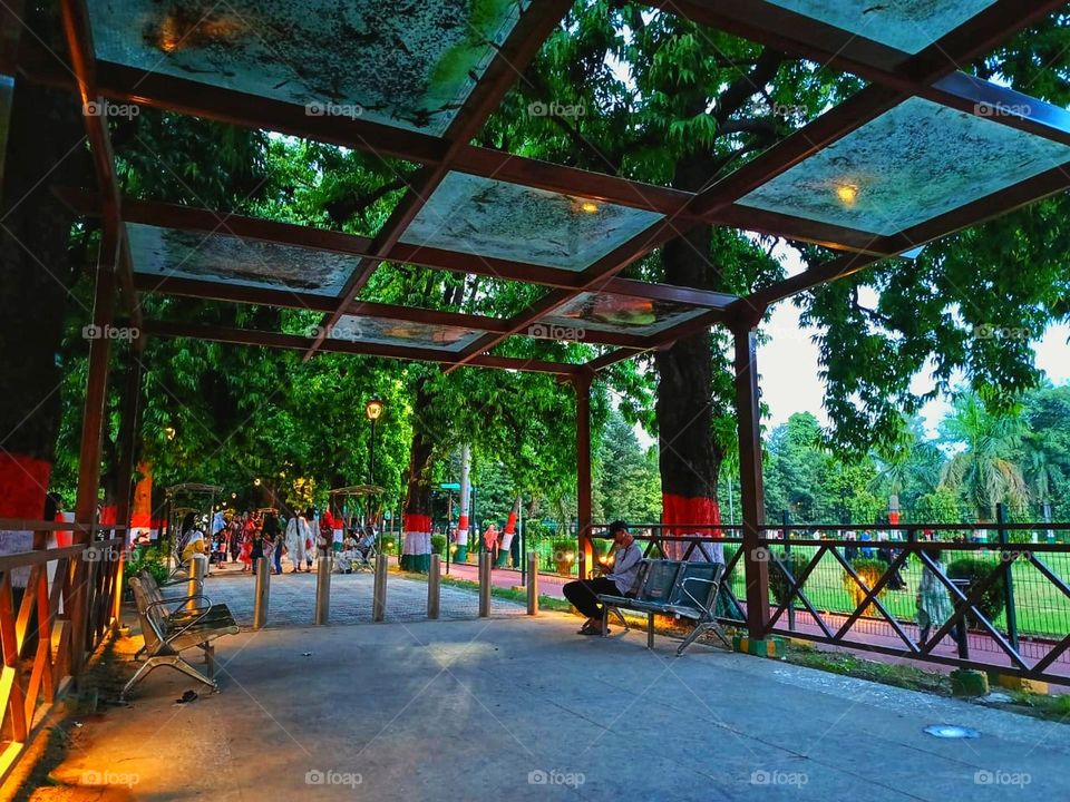 The park looks so magical at night with all the lights! It must be a lovely place to take a stroll and enjoy the evening. 🌟