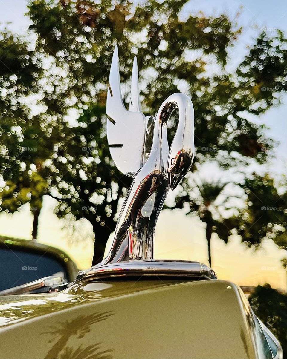 Packard Swan Hood Ornament 