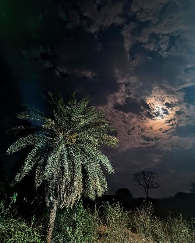 🌙 ☁️