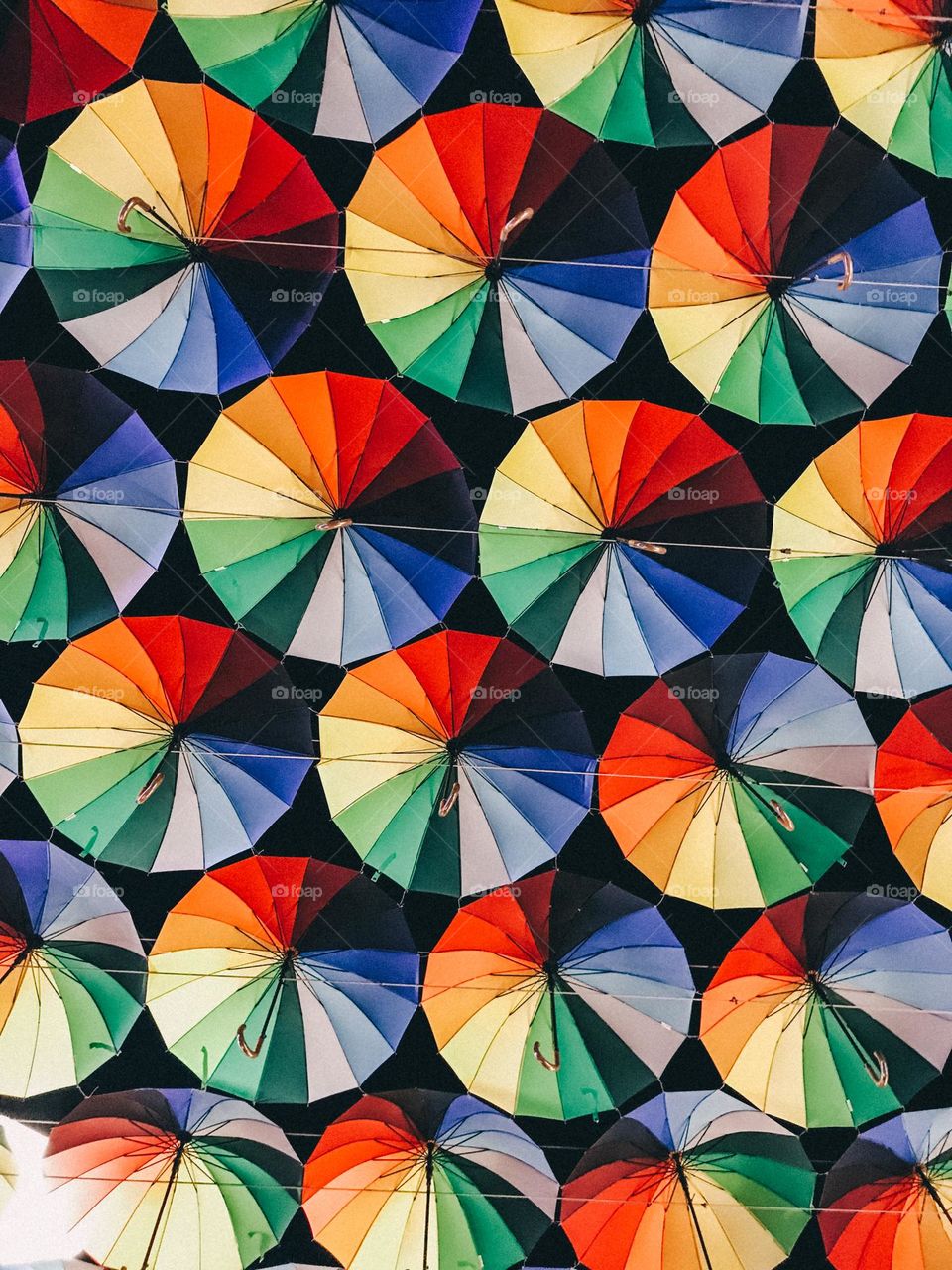 Colorful umbrellas 