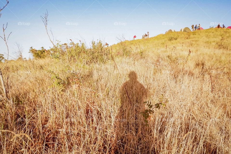 Shadow on the field