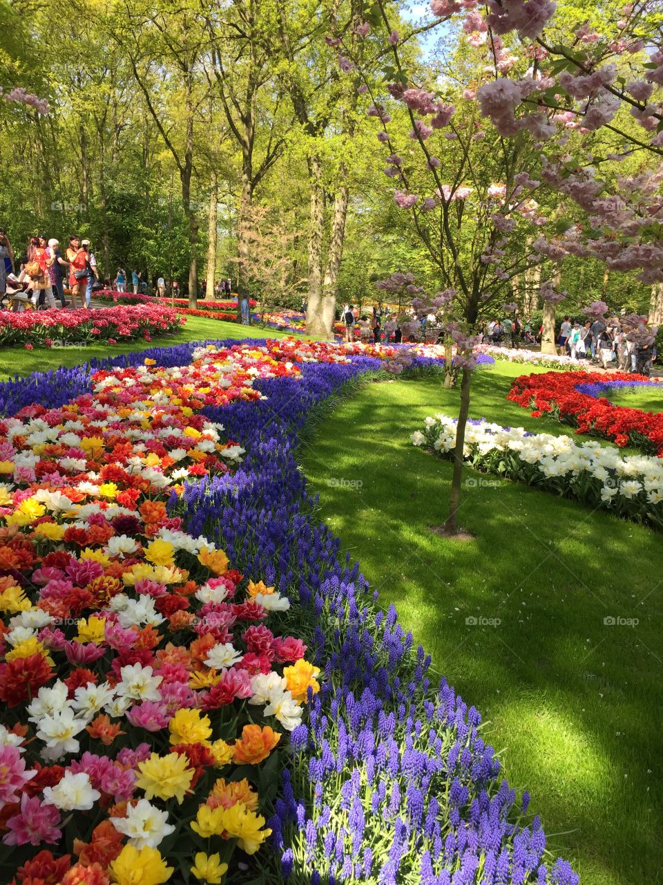 Keukenhof