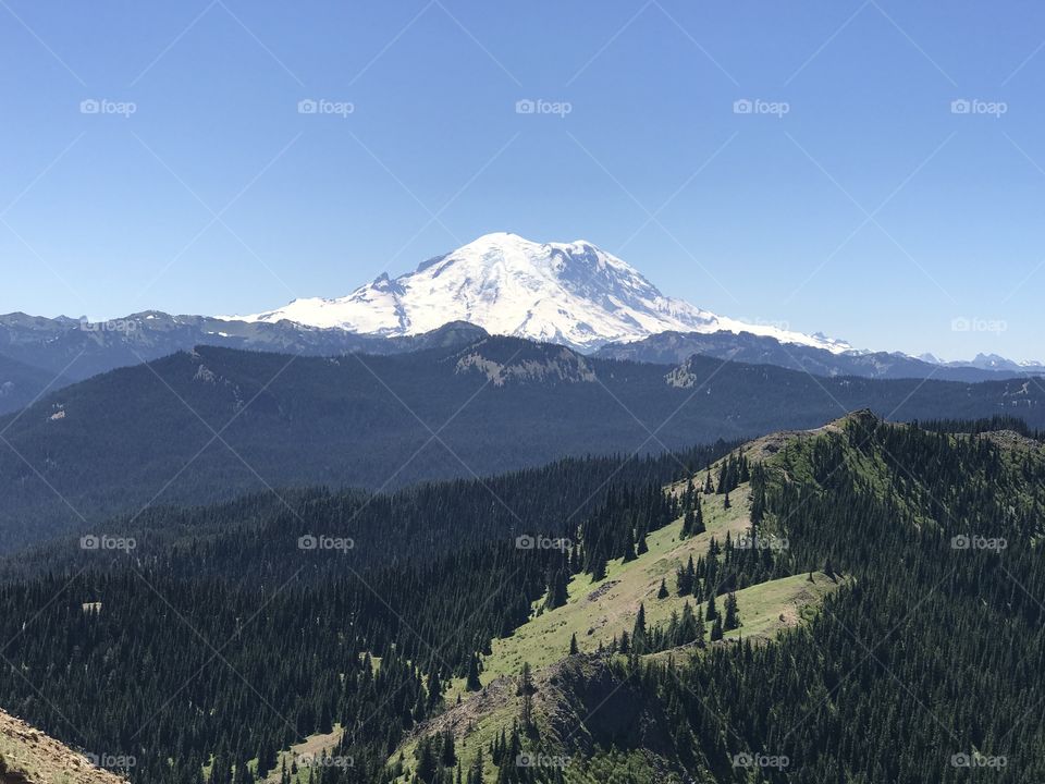 Mt. Rainer viewed from Ravens Roost.