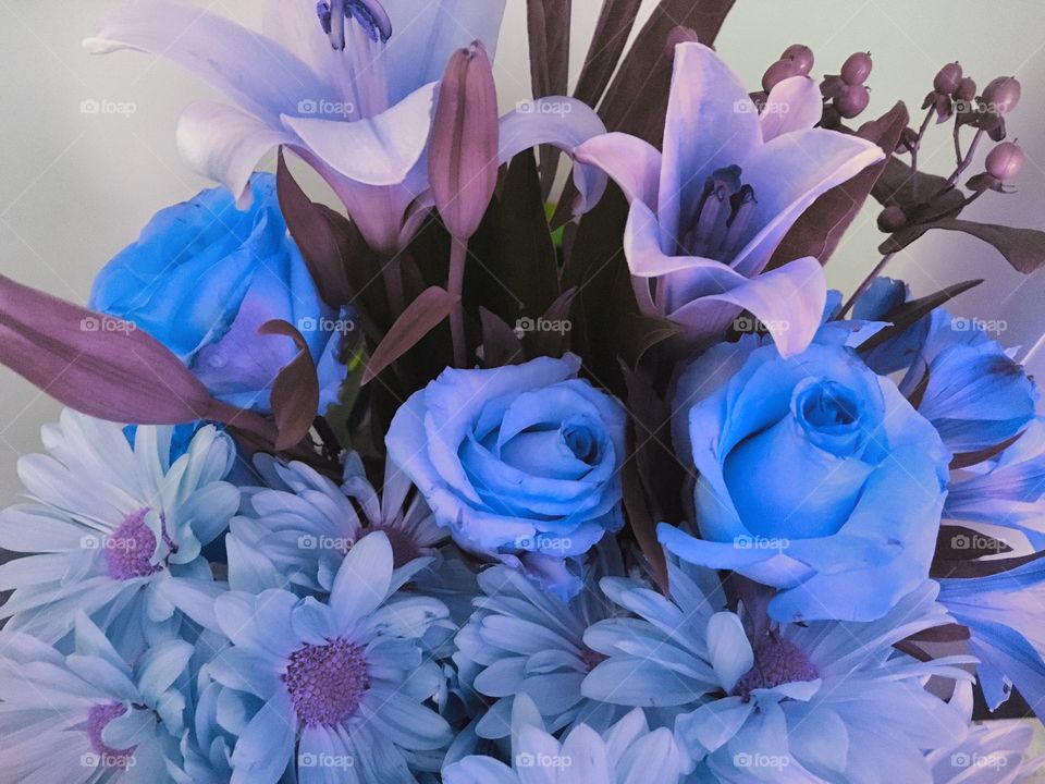 Blue floral 
