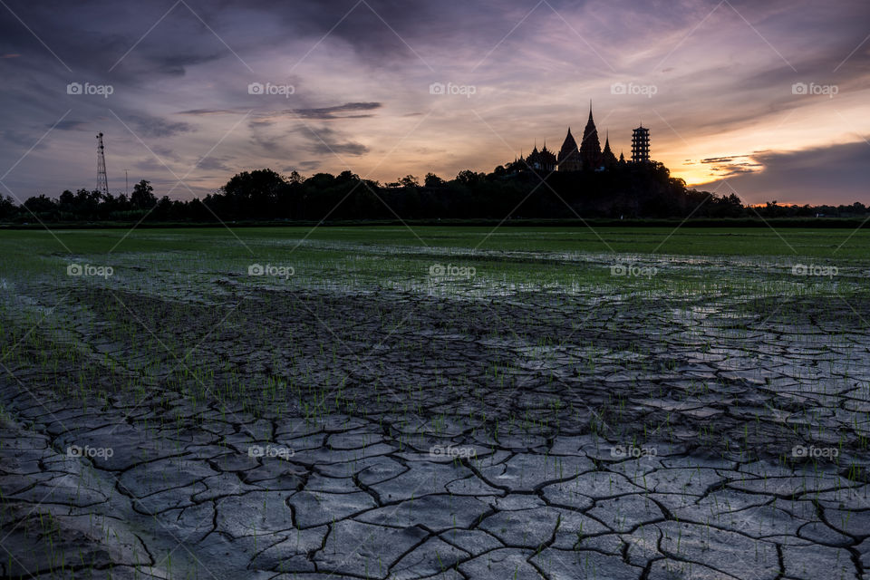 Sunrise in the agricultural land 