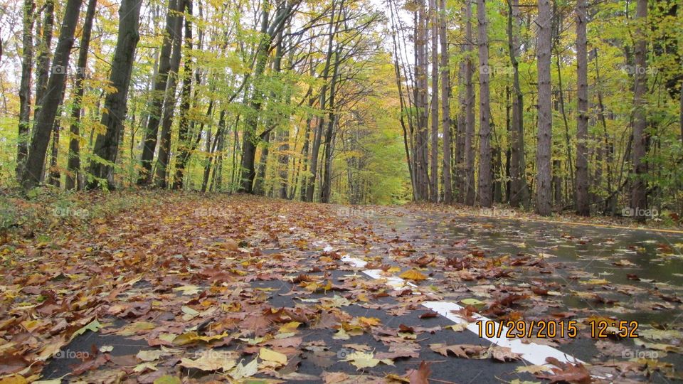 Northern Michigan 