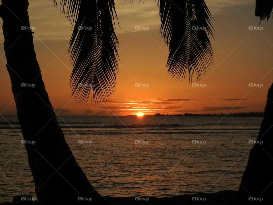 I'll be seeing you...