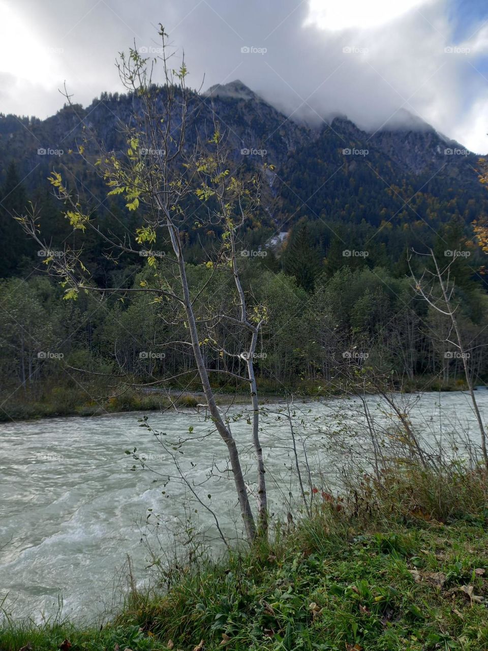 A Trail By the River