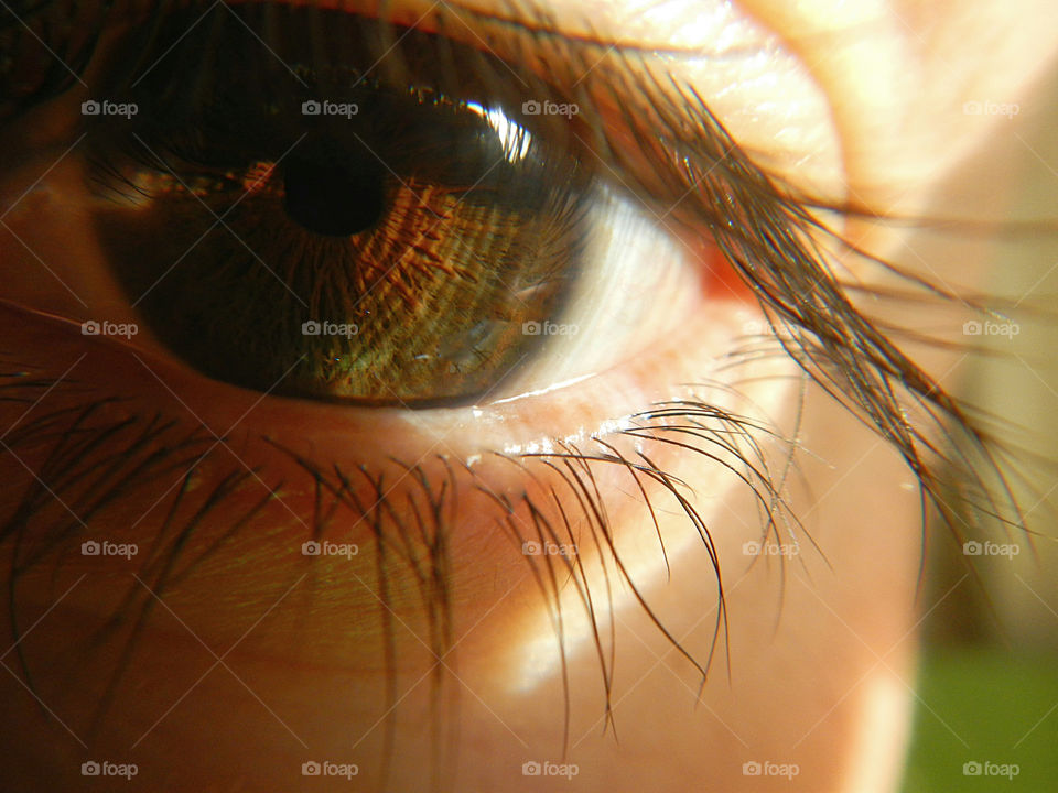 Macro of human eye