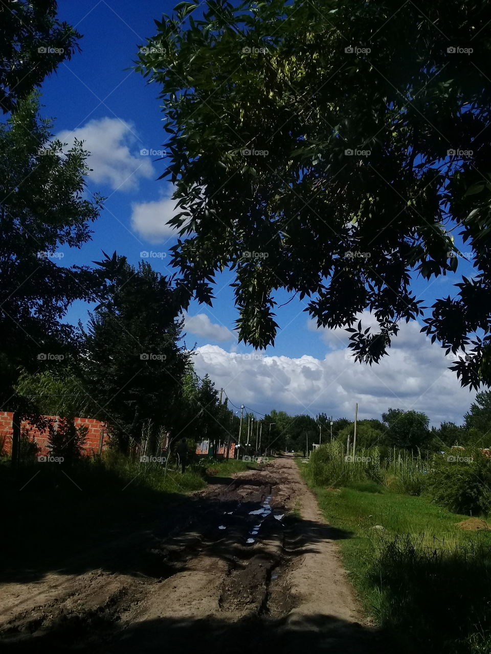 vista de una típica calle rural, de tierra, luego de una lluvia, cuyos charcos de agua reflejan el azul del cielo.