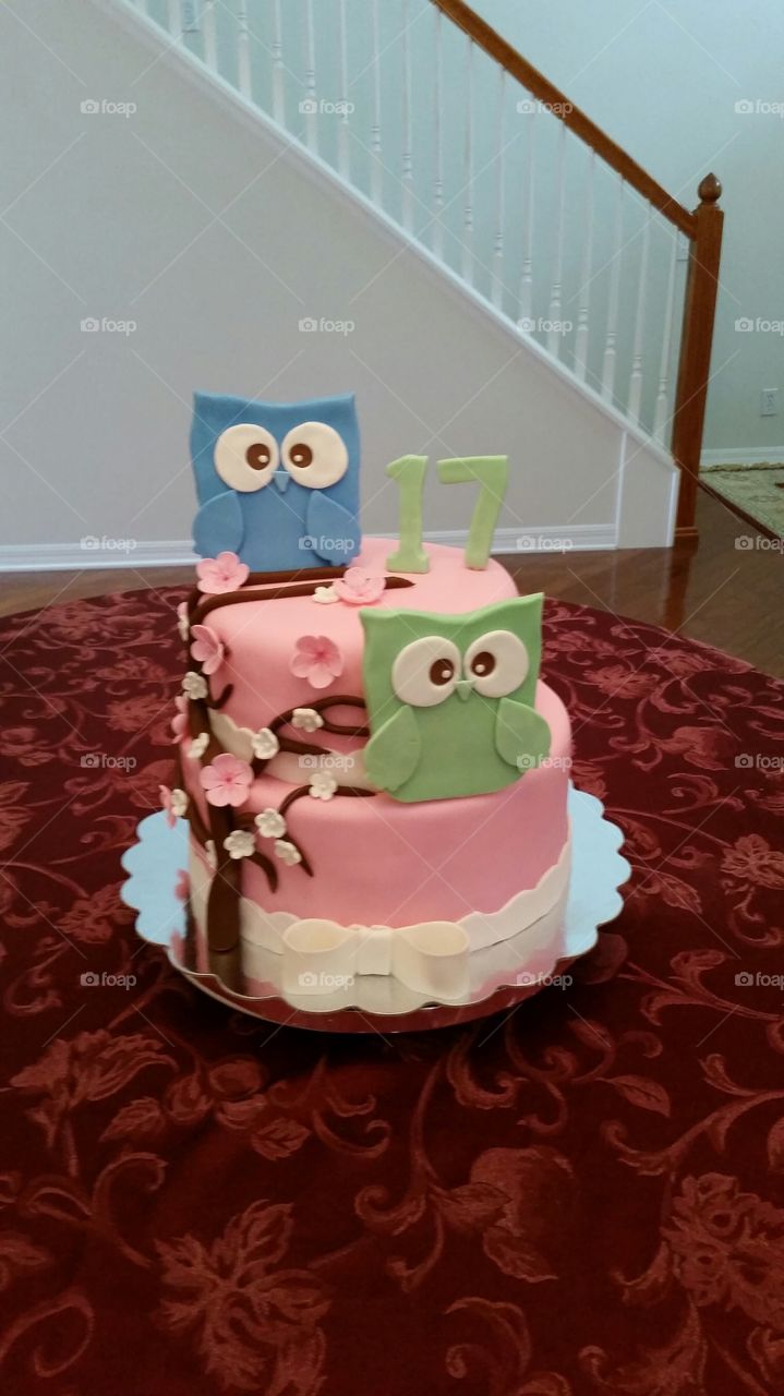 17th Owl Birthday  Cake