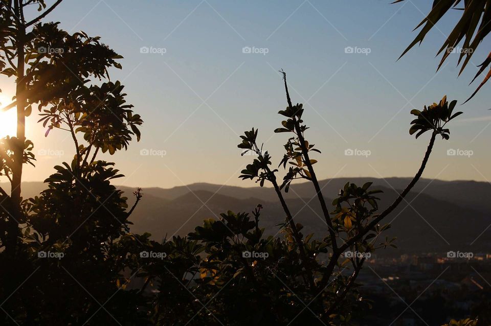 Landscape with sun light during sunset 