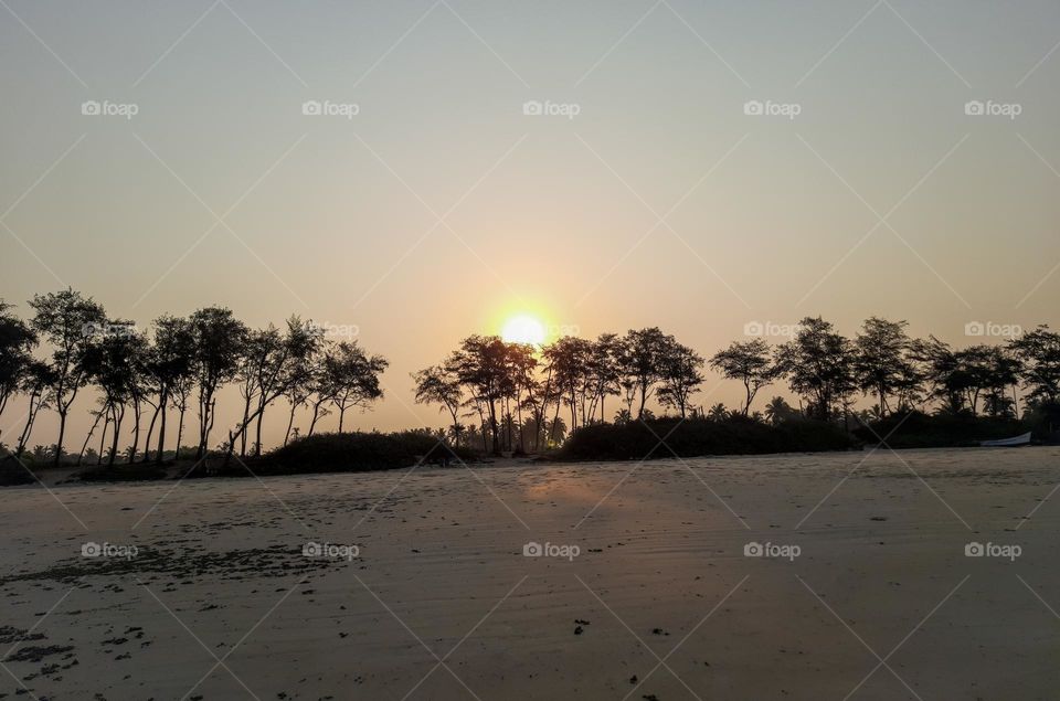 Sun shone through the tree