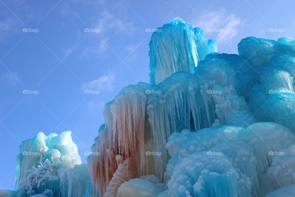 Ice Tree Top