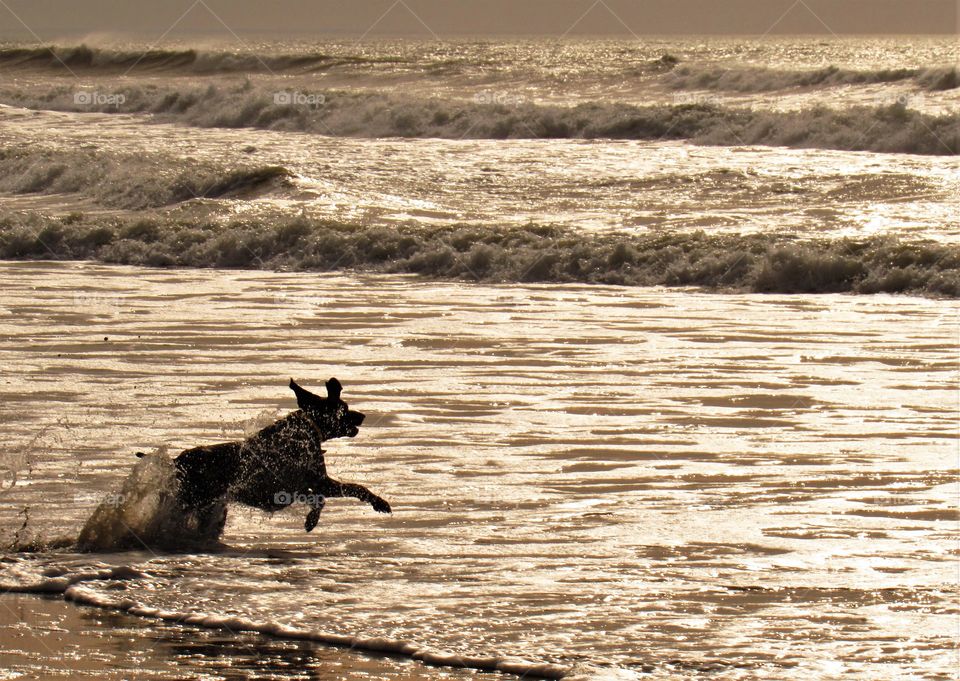 On the beach