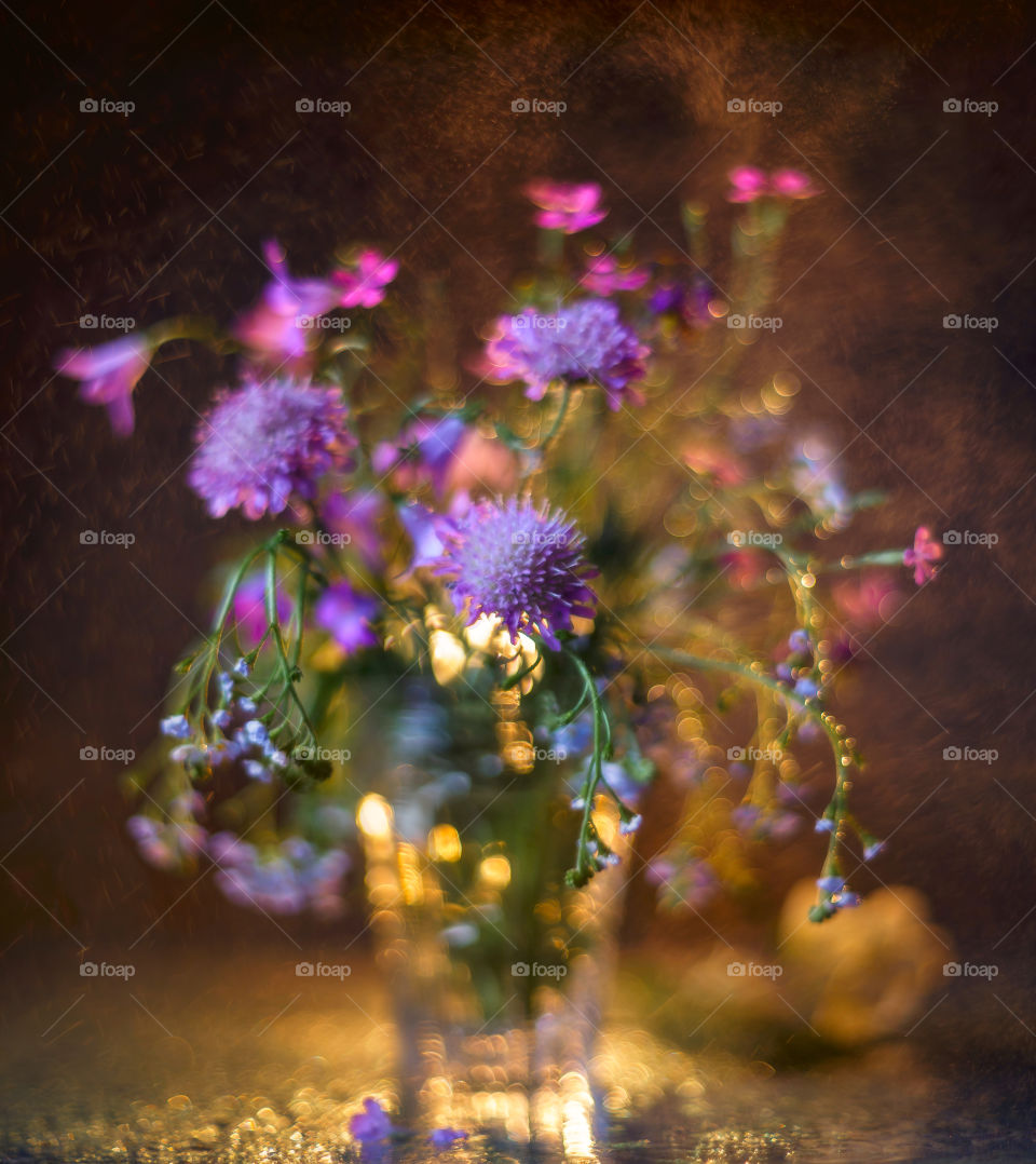 Bouquet of forest flowers in soft focus