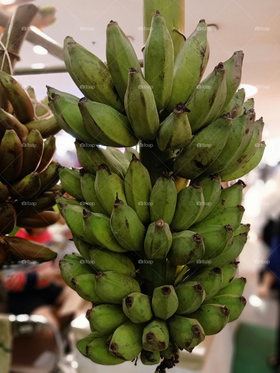 Bananas