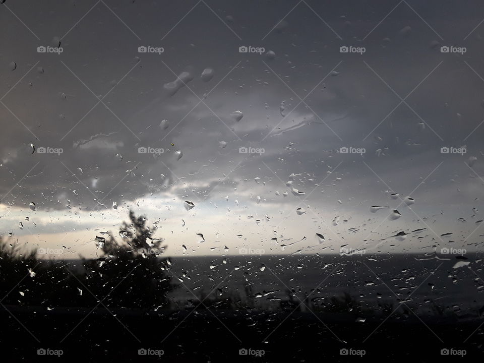 rain window storm tree