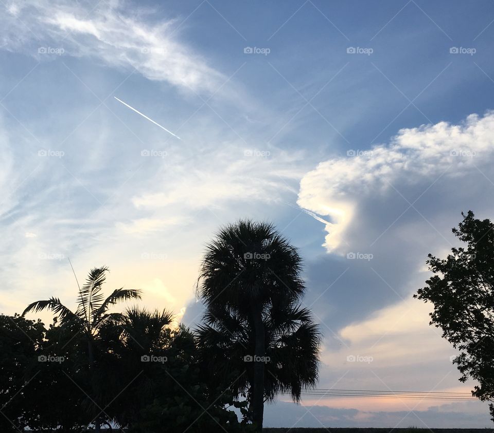 Clouds over Palm trees in Florida