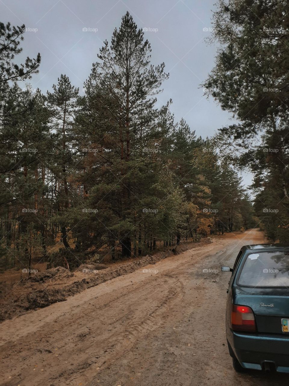 Dirt road of Ukraine