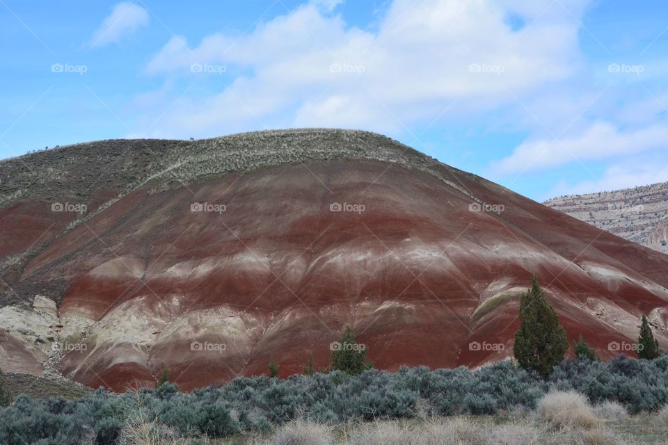 Painted hills 