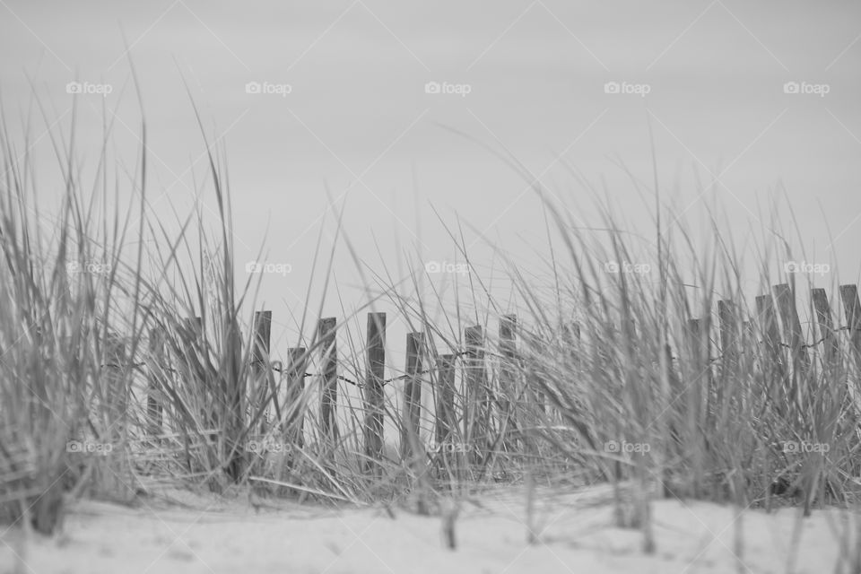 Windy day on the beach