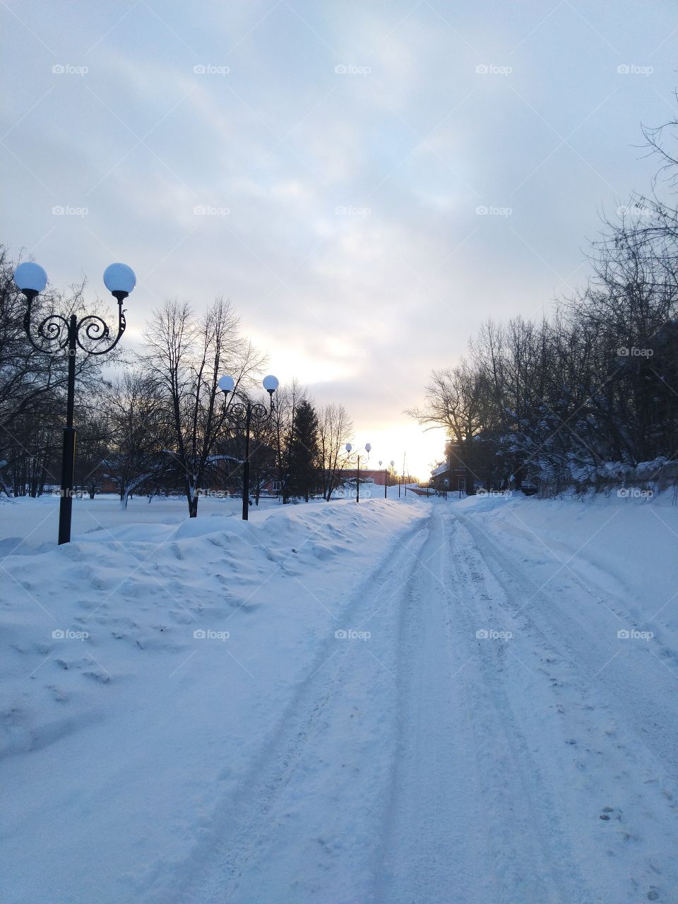 morning in the Siberia. Russia.