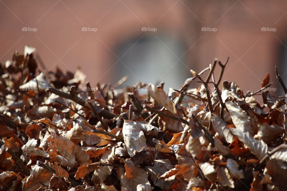 Just a little of everything 