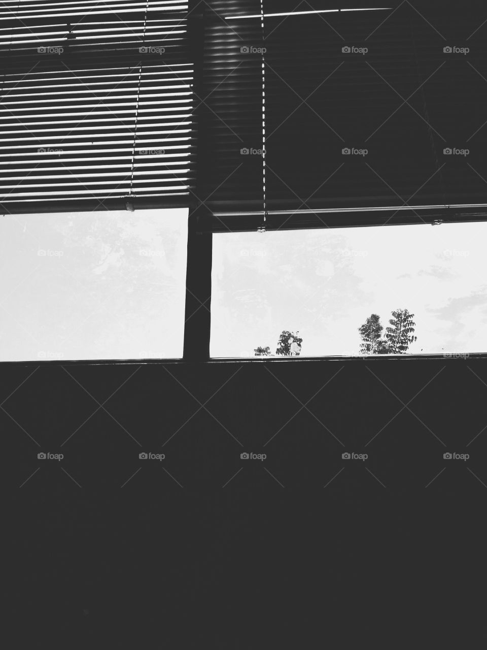 Black and white window