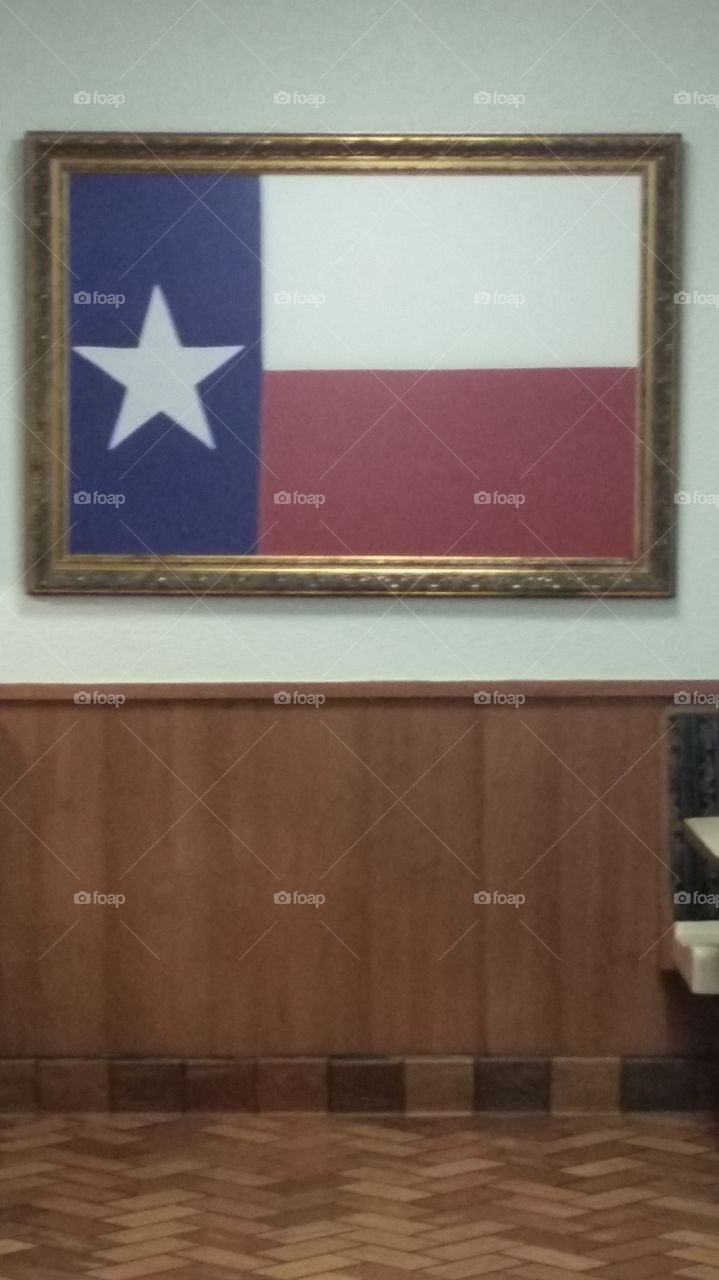 lone star flag. Texas proud
