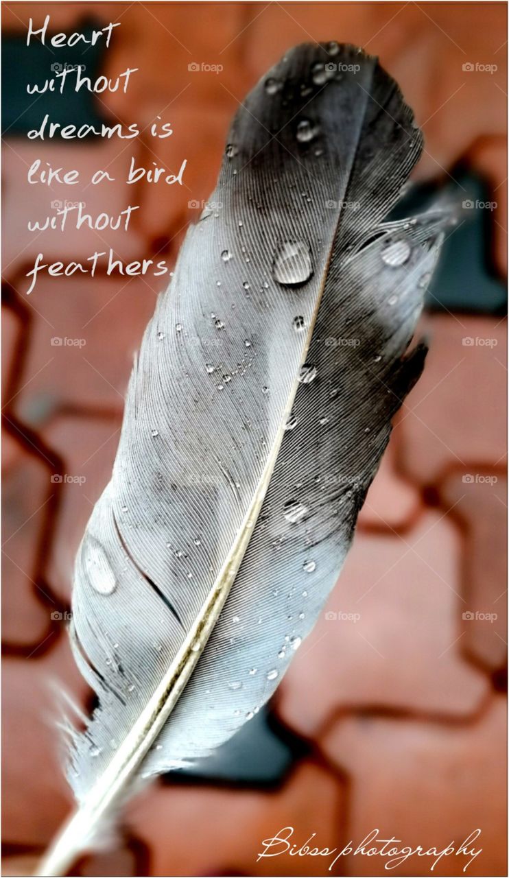 Live like a feather that's flying @sky...nbr fallen