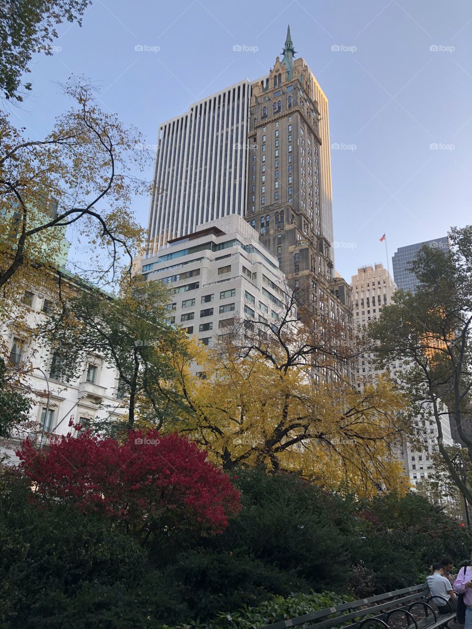 Autumn in Central Park / NYC